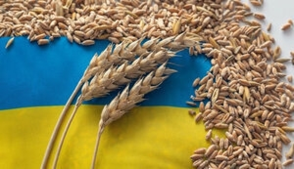 Уряд Польщі хоче опублікувати список компаній, які імпортували зерно з України на 1,4 мільярда євро