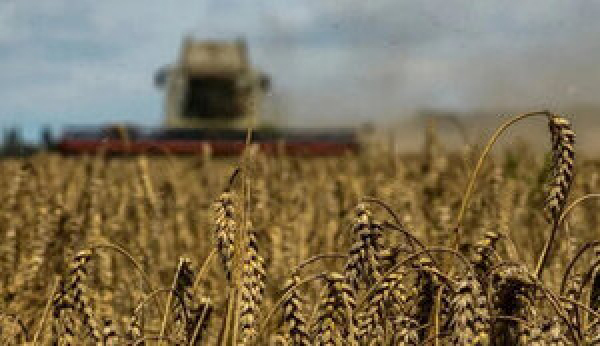 Єврокомісія схвалила пропозицію підвищити мито на імпорт зерна із Росії та Білорусі